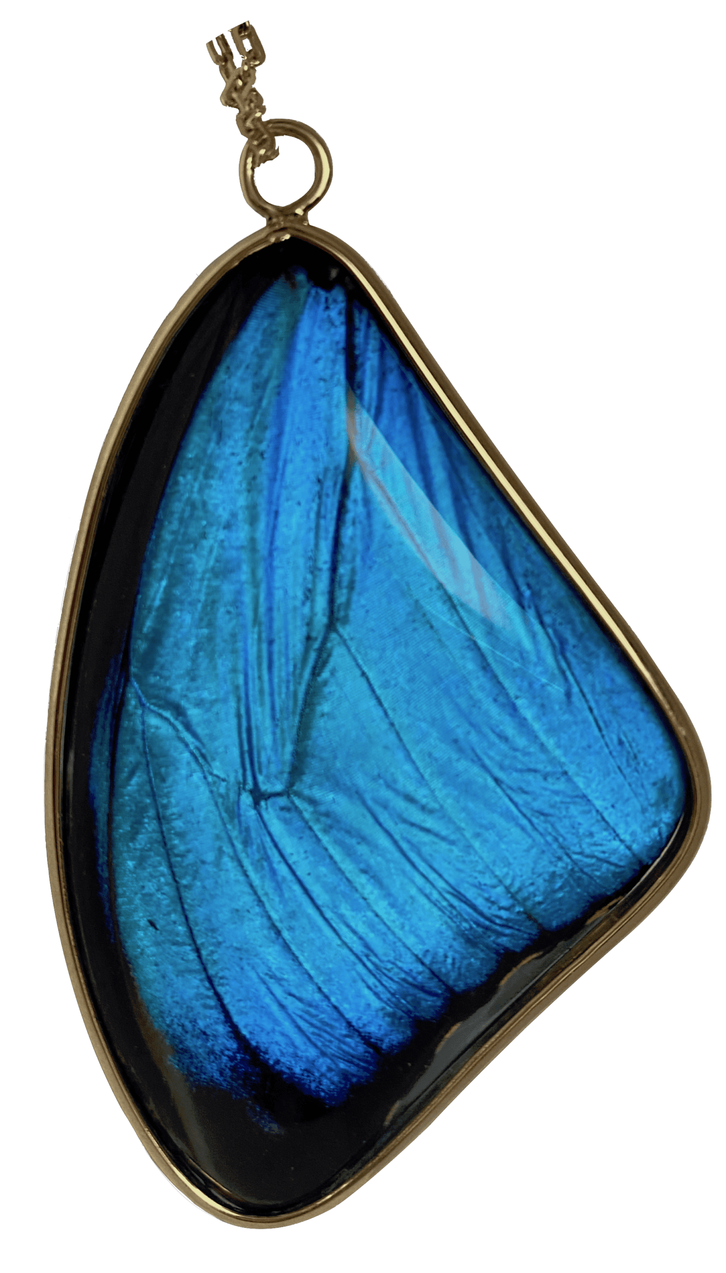 Blue Morpho Pendant, Large - Image 15