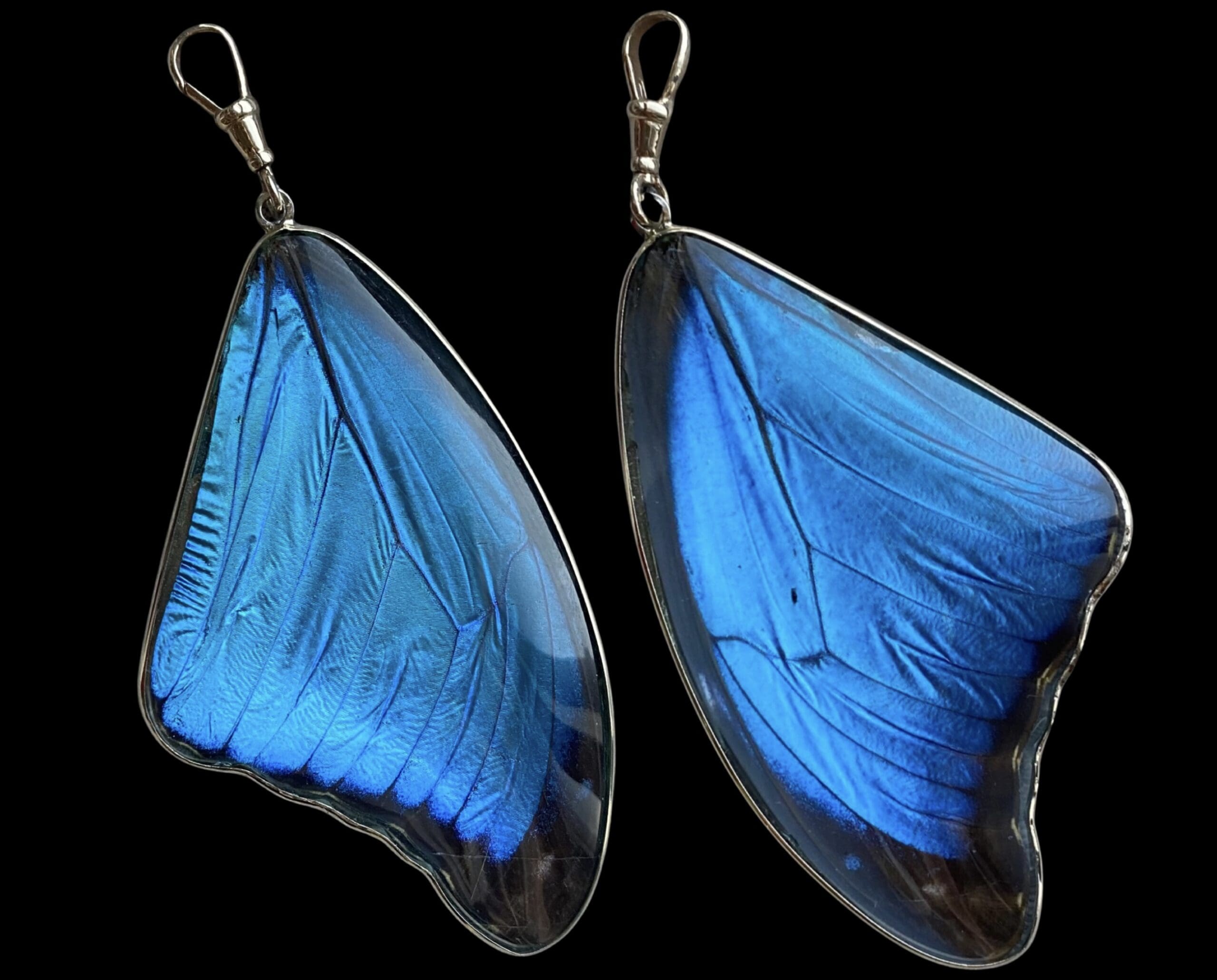 Blue Morpho Pendant, Large - Image 16