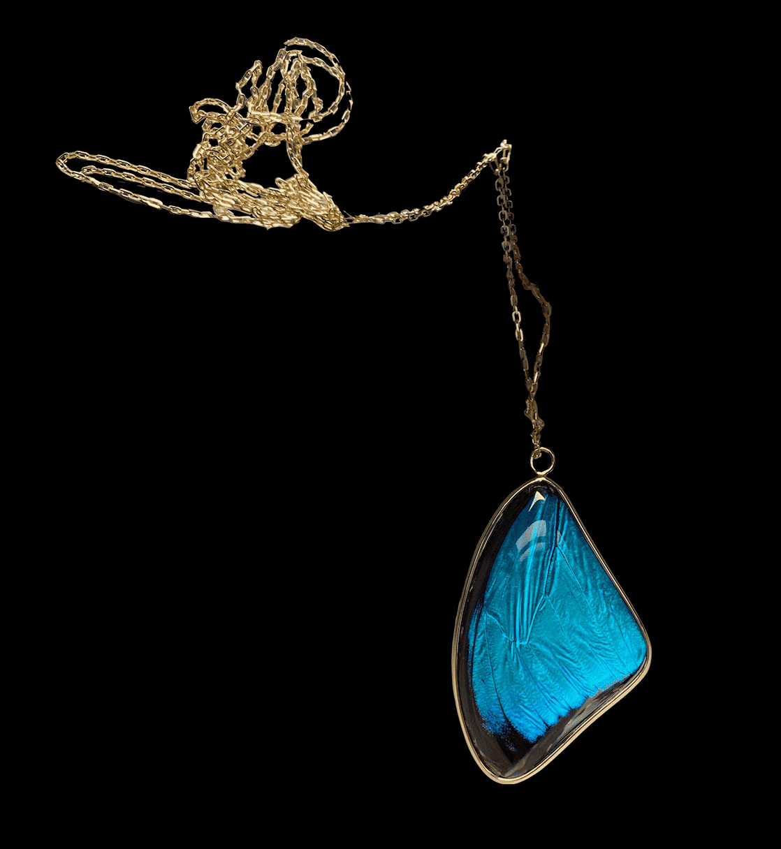 Blue Morpho Pendant, Large - Image 6