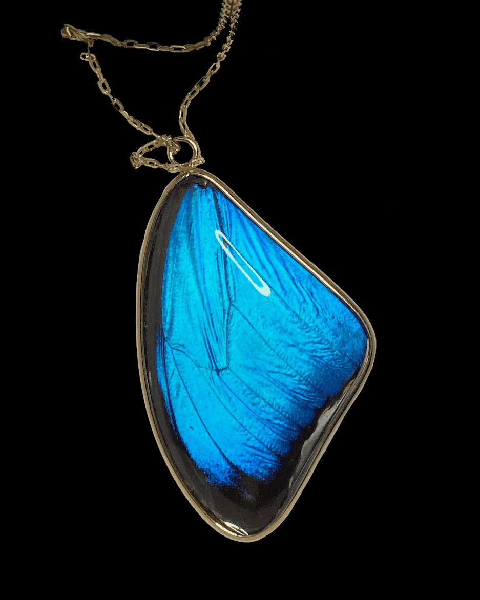 Blue Morpho Pendant, Large