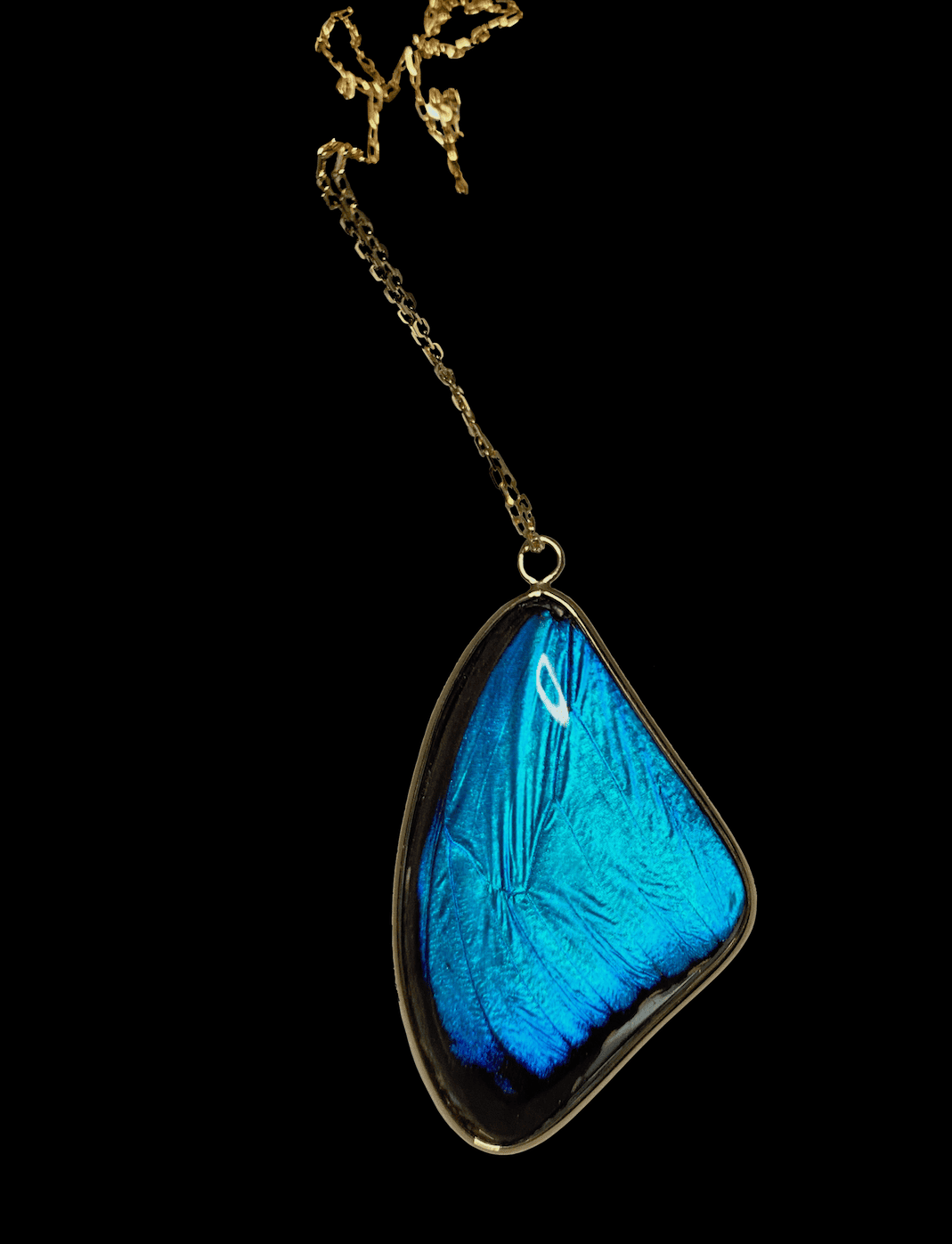 Blue Morpho Pendant, Large - Image 8