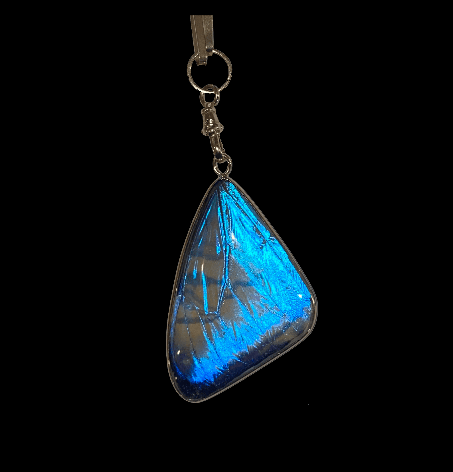 Pearl Morpho Pendant - Image 23