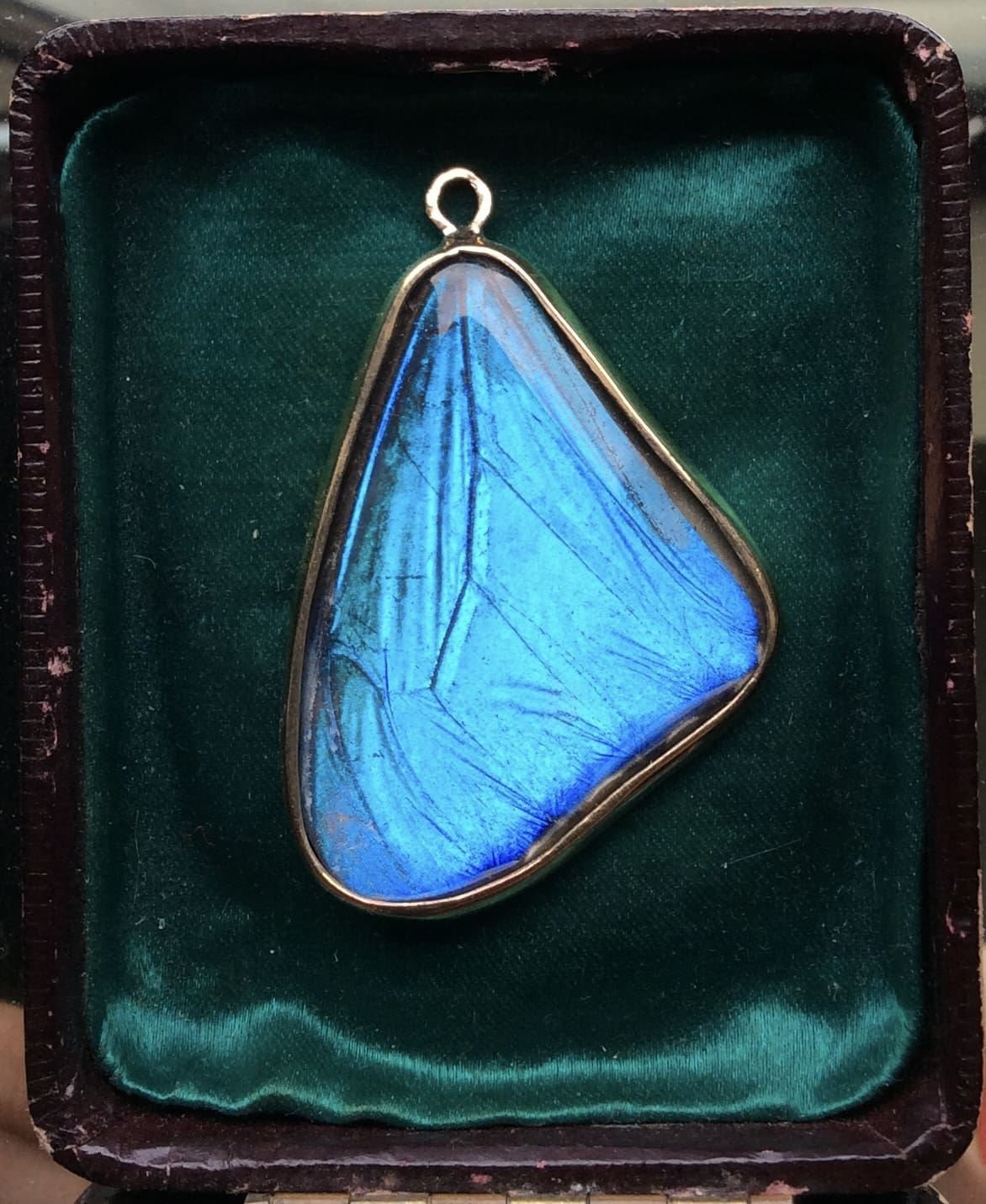 Blue Morpho Pendant, Small - Image 29