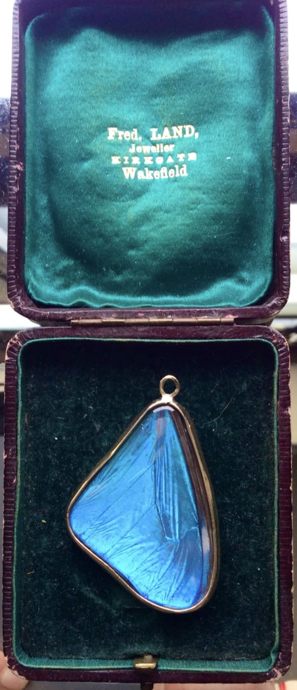 Blue Morpho Pendant, Small - Image 28