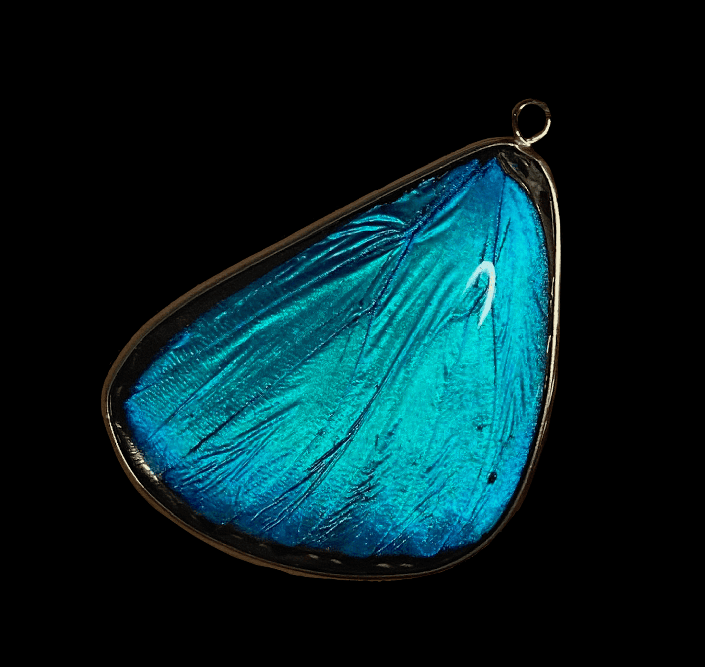 Blue Morpho Pendant, Bottom Wing - Image 8