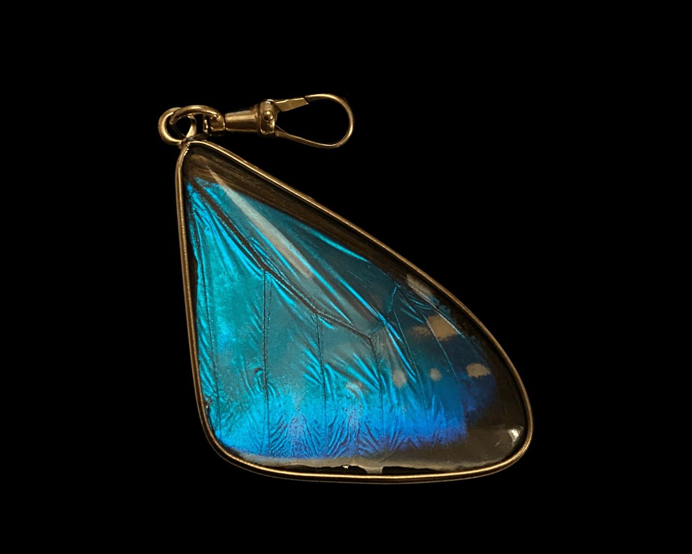 Blue Morpho Pendant, Small - Image 3