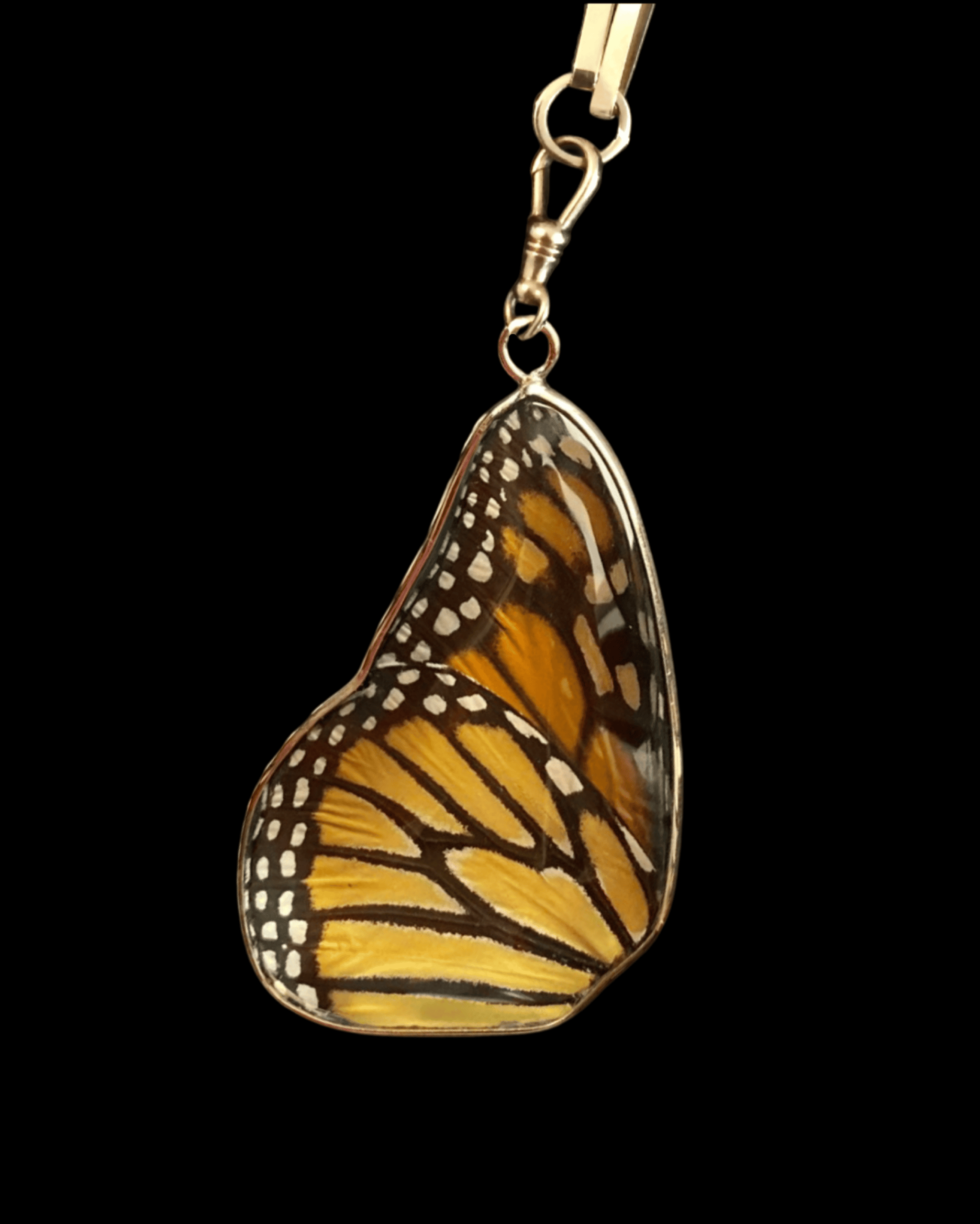 Monarch pendant, full wingspan