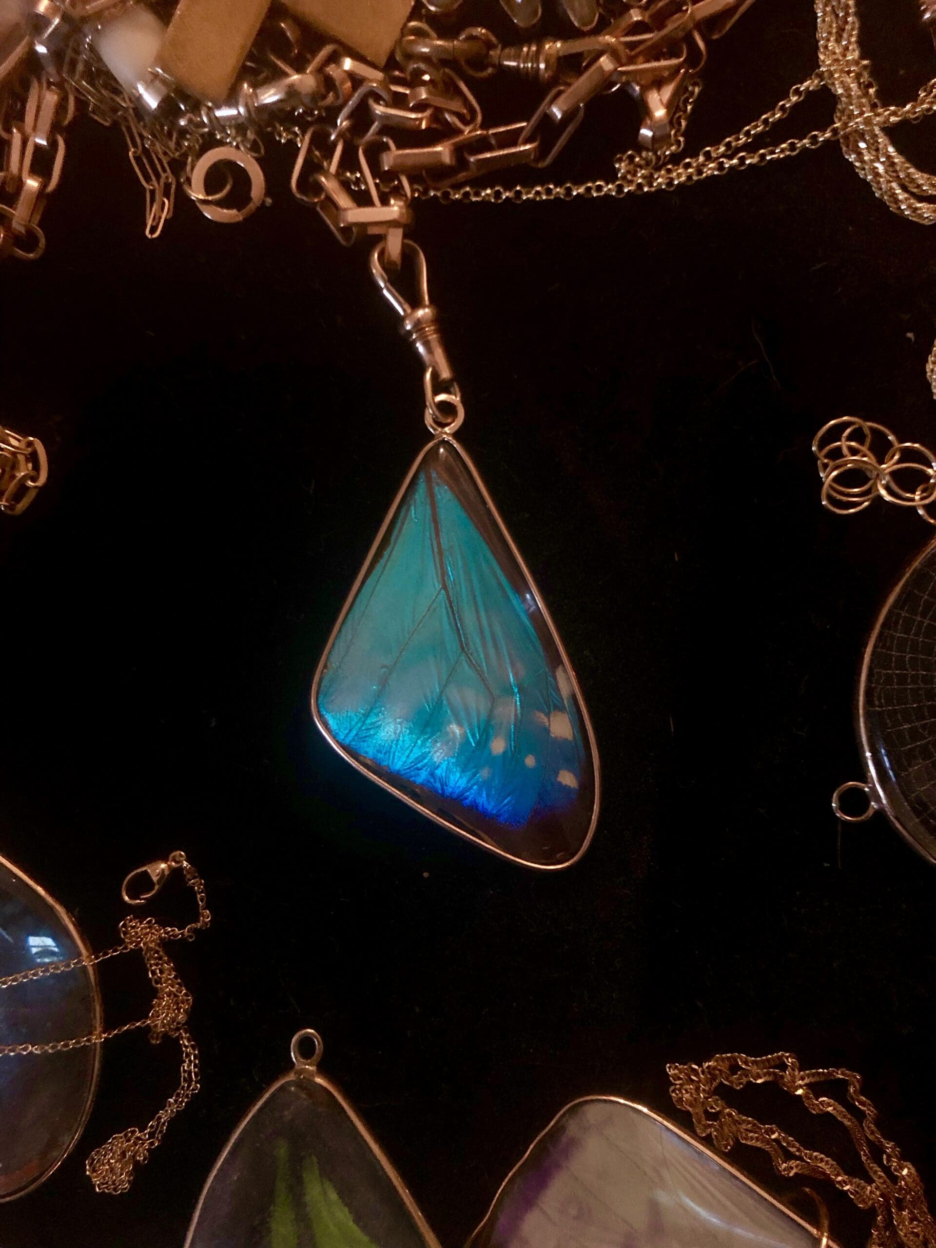 Blue Morpho Pendant, Small - Image 27