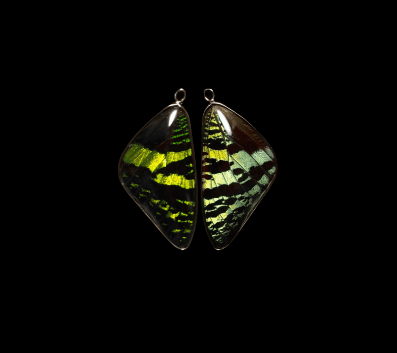 Green Sunset Moth Pendant - Image 14