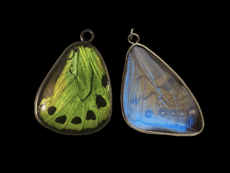 Green Birdwing Pendant, Small - Image 8