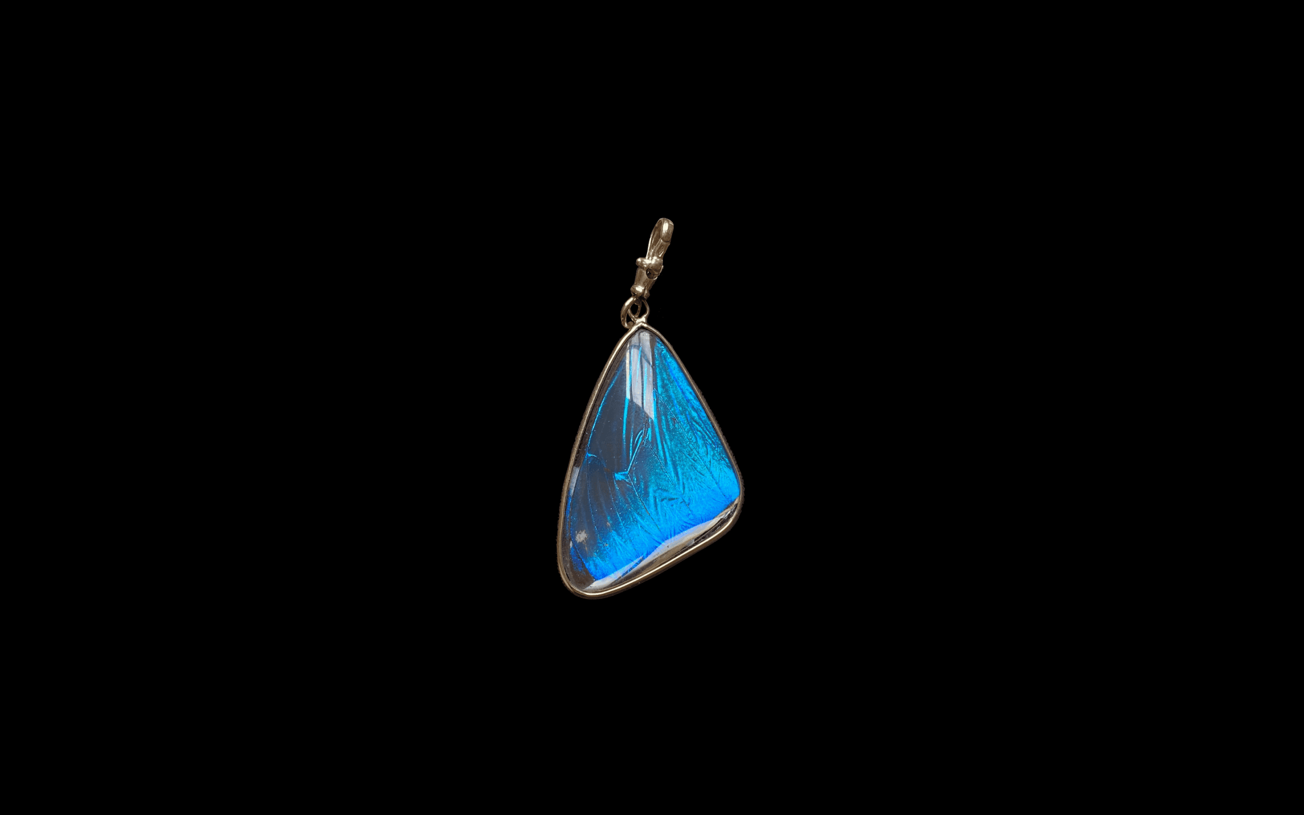 Blue Morpho Pendant, Small - Image 21