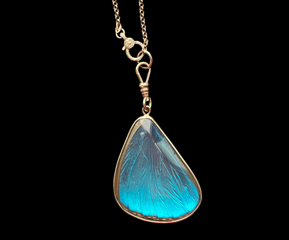 Blue Morpho Pendant, Bottom Wing
