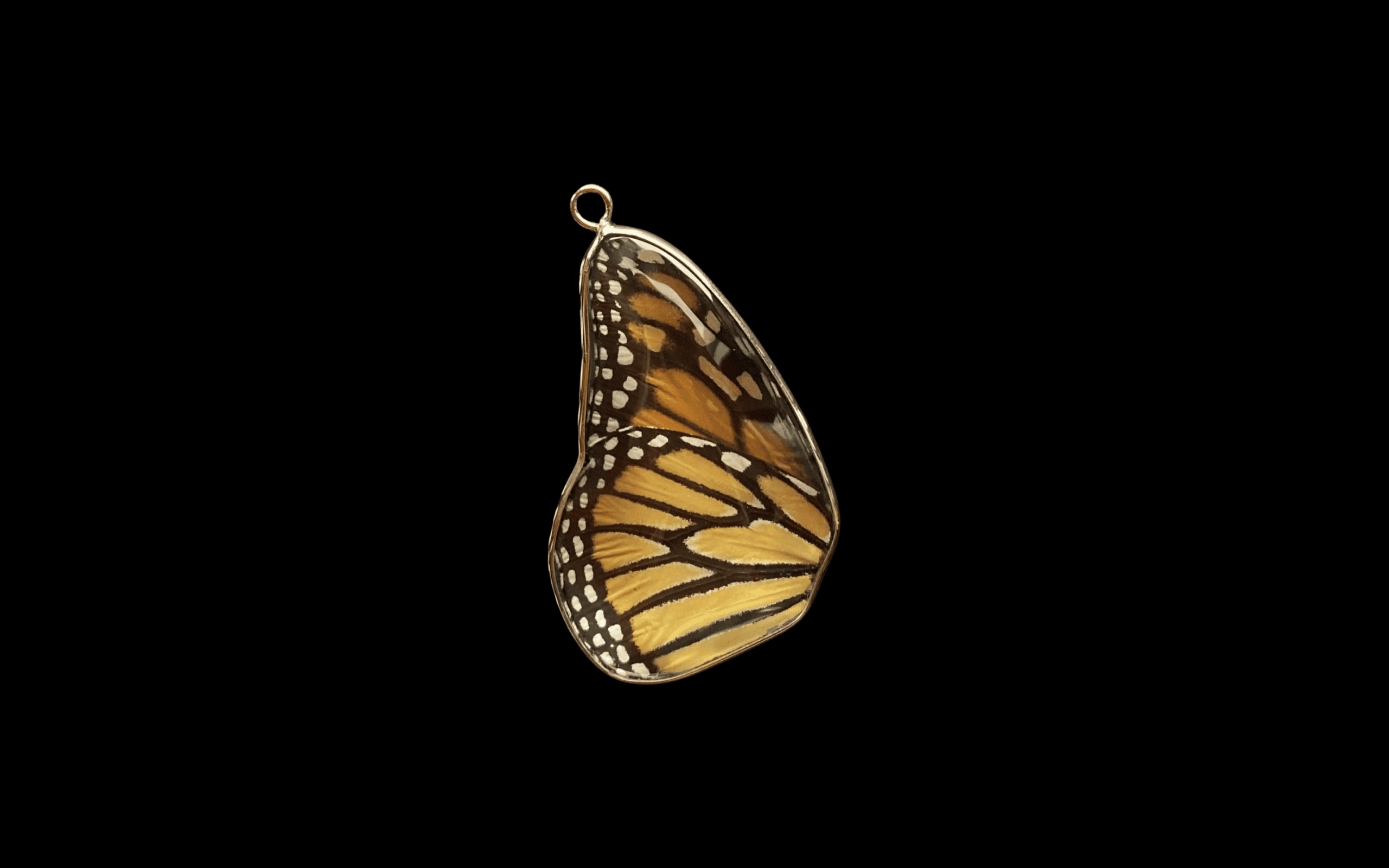 Monarch pendant, full wingspan - Image 6