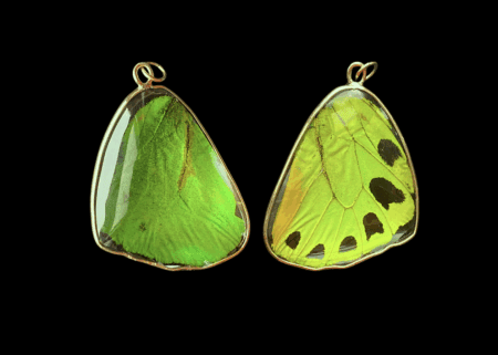 Green Birdwing Pendant, Small - Image 9