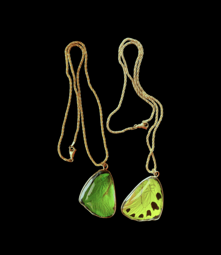 Green Birdwing Pendant, Small - Image 10