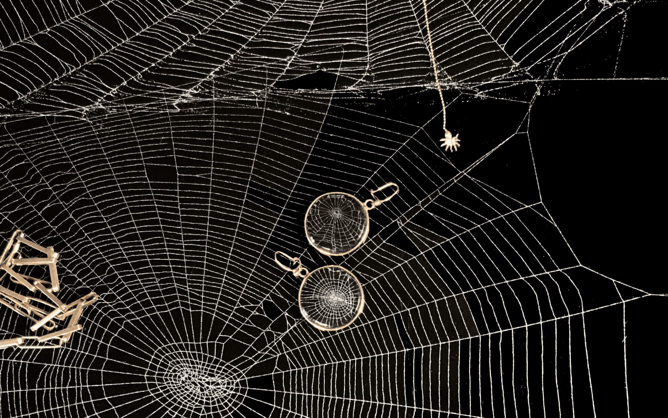 Spiderweb Earrings, Large - Image 3