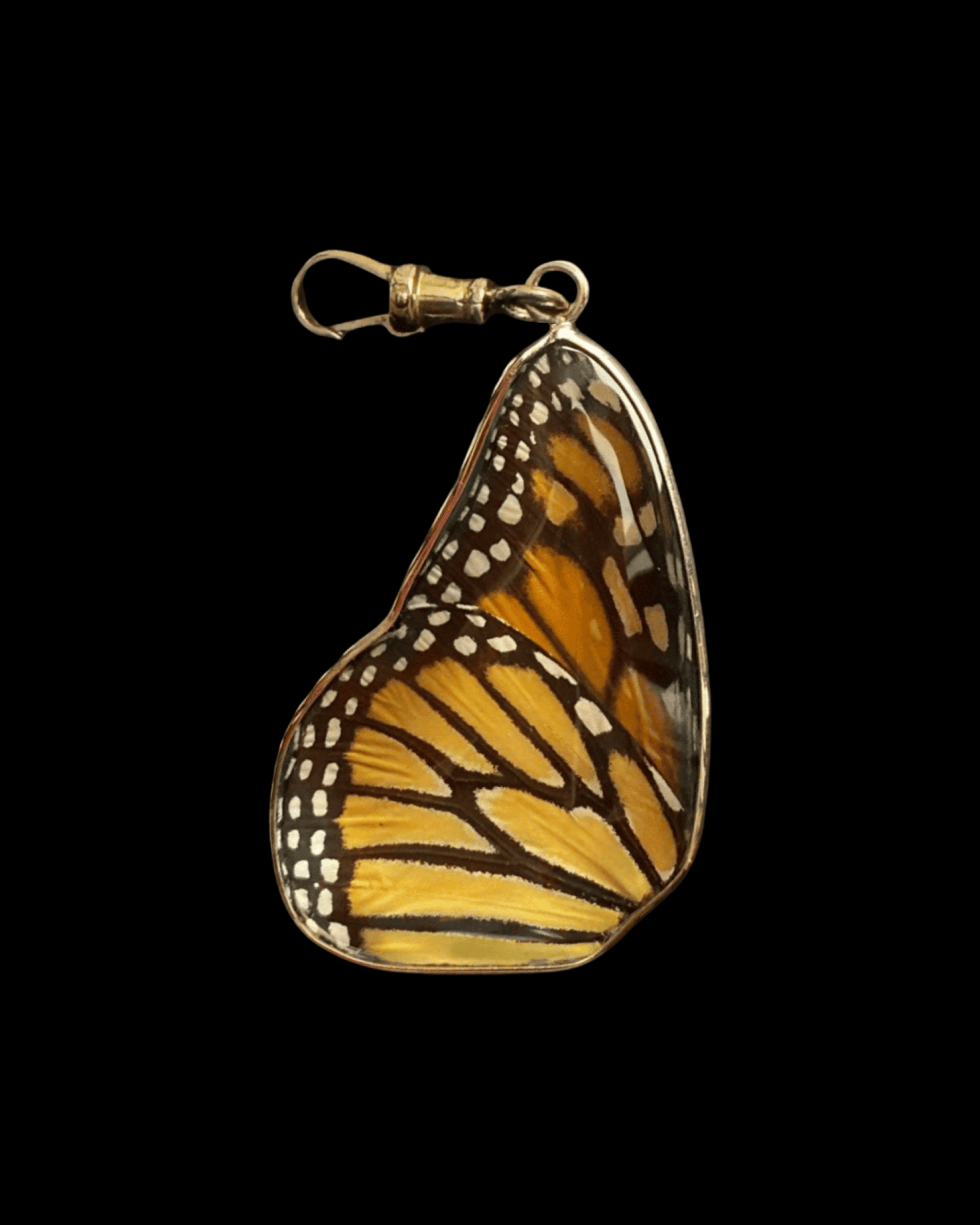 Monarch pendant, full wingspan - Image 7
