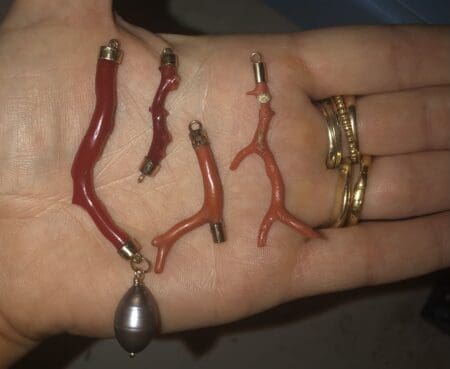 Coral Branch and Black Pearl Earrings - Image 12