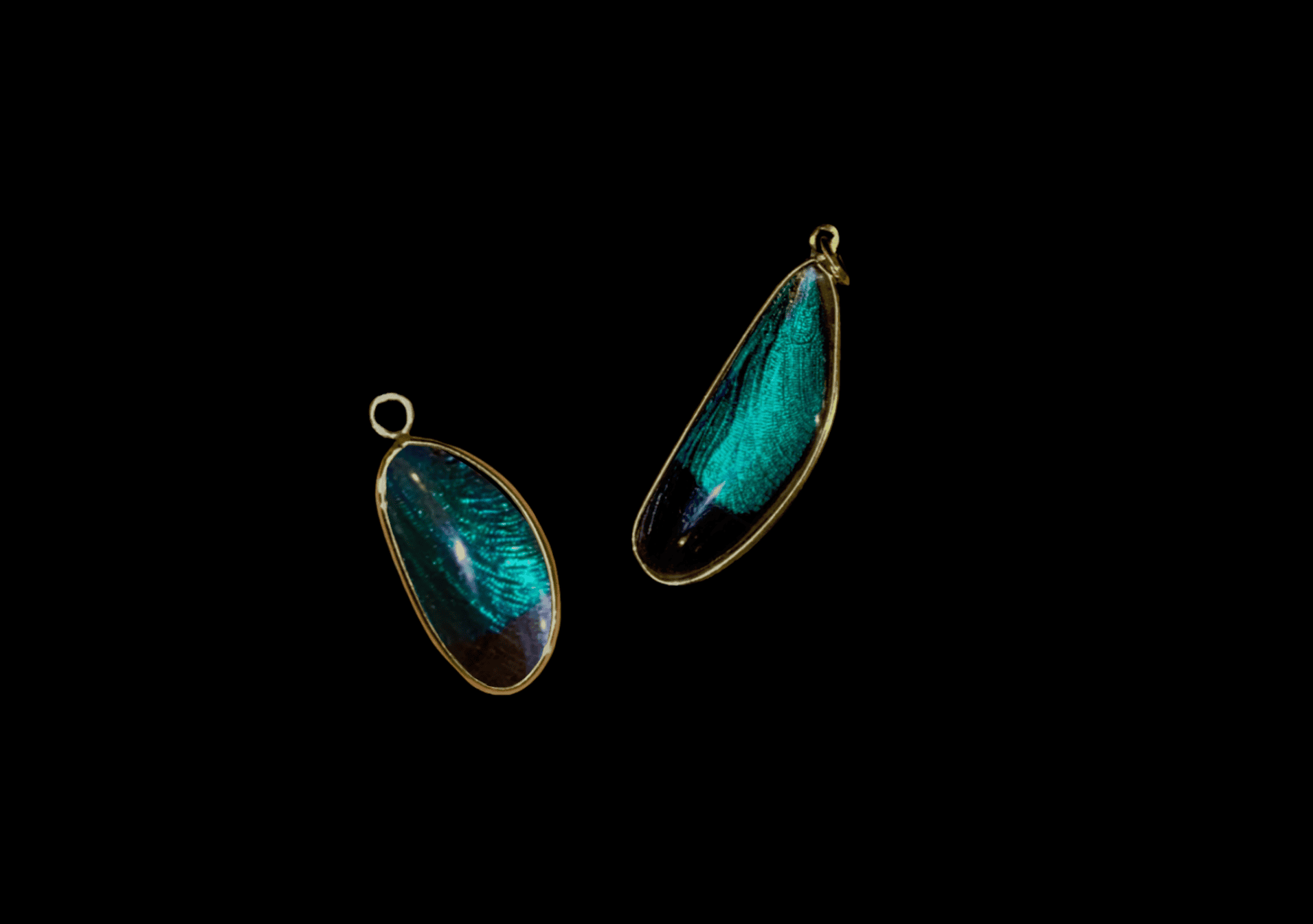 Blue Damselfly Wing Earrings and Pendants - Image 7